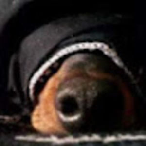 Meet your Posher, Bermanium